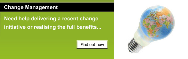 Change Management Consultant