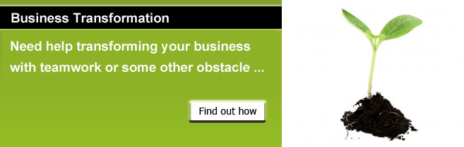 Business Transformation Consultant
